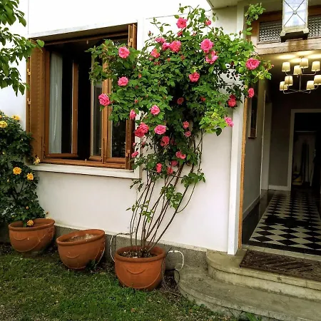 Appartement Avec Terrasse En Plein Centre *