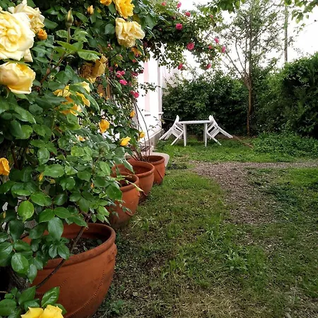 Avec Terrasse En Plein Centre *